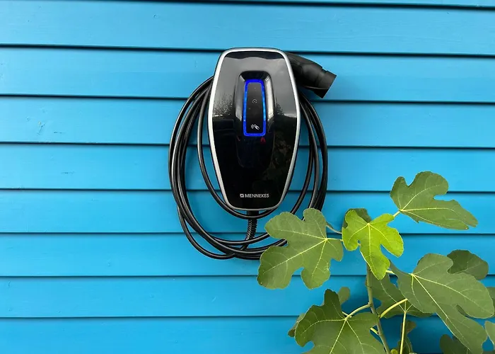 Blaues ורניגרוד